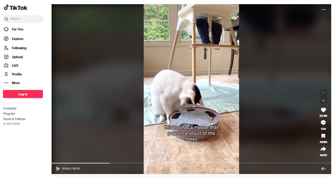 Interactive Cat Toys Products To Dropship TikTok Ad