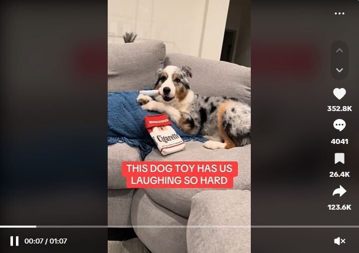 Pet Toy TikTok Ad