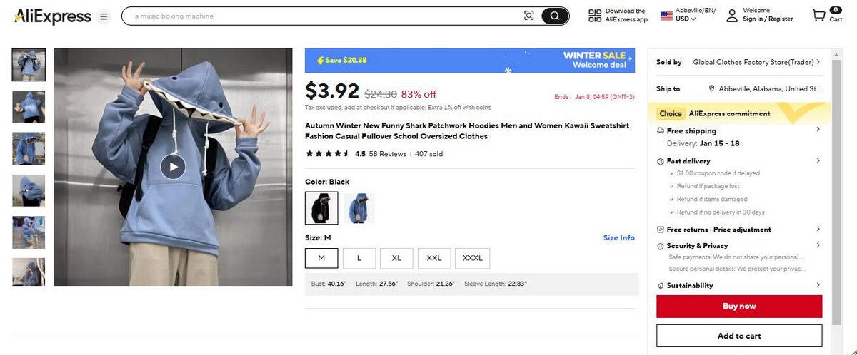 Hoodie best items to dropship in february 2025