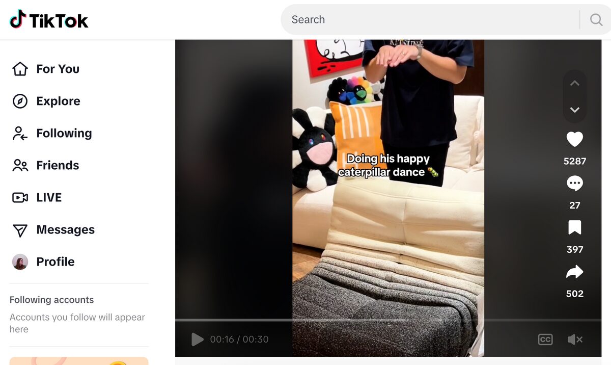 Caterpillar Sofa TikTok Ad