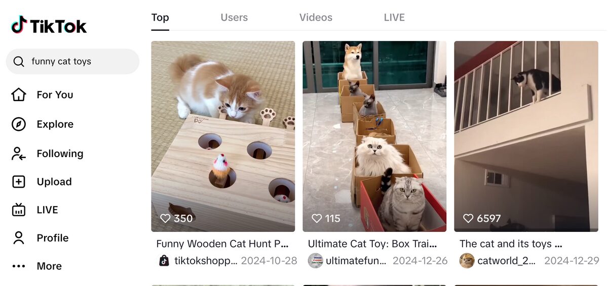 TikTok Cat Videos