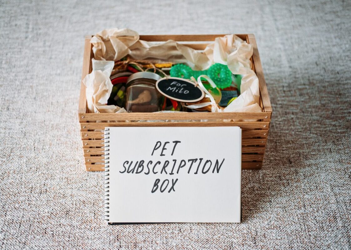 Cat subscription box