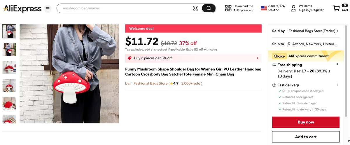 mushroom bag best items to dropship in january 2025