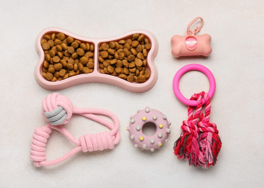 Offer Bundles and Discounts Pet Toys Dropshipping