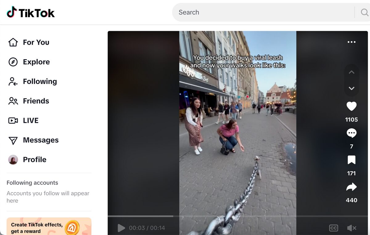 Fake Chain Funny Dog Leash TikTok Ad