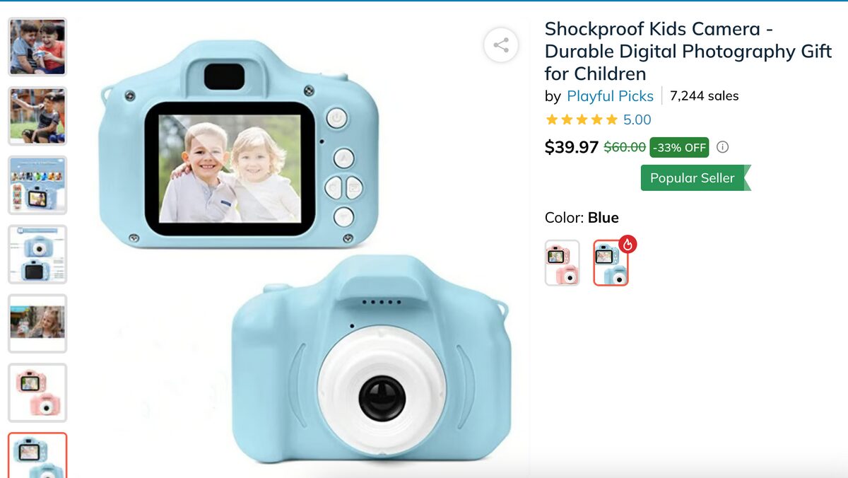 Toy Camera Seller's Website