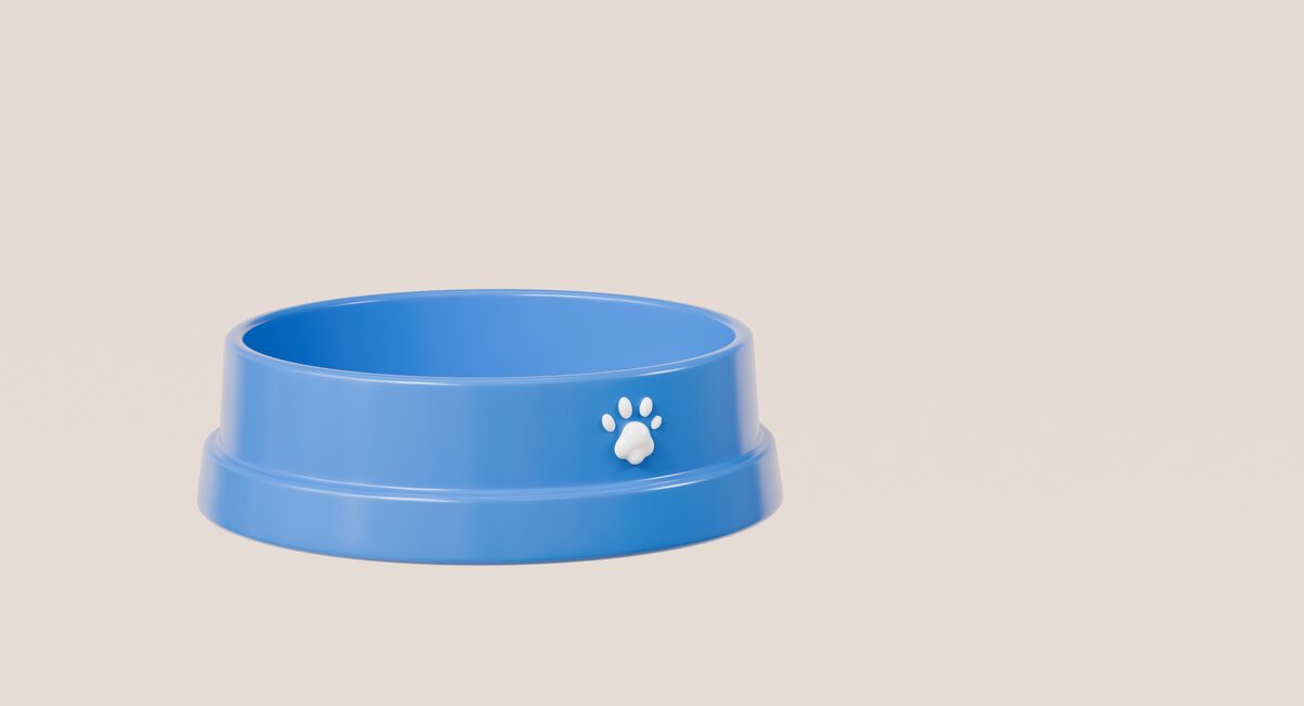 Types of Pet Food and Treats You Can Dropship