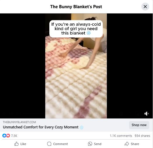 Facebook Ad Bunny Blanket