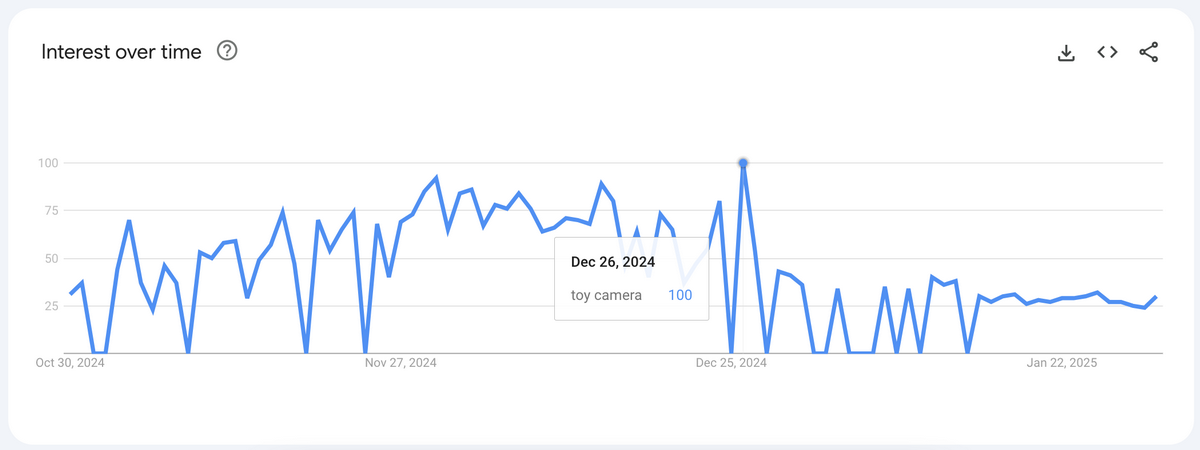 Toy Camera Google Trends
