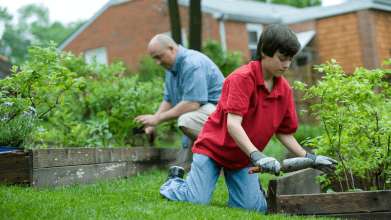 The Top 10 Gardening Dropshipping Products to Sell in 2021